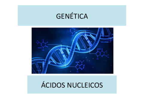 ACIDOS-NUCLEICOS-Y-GENETICA-MOLECULAR.pdf