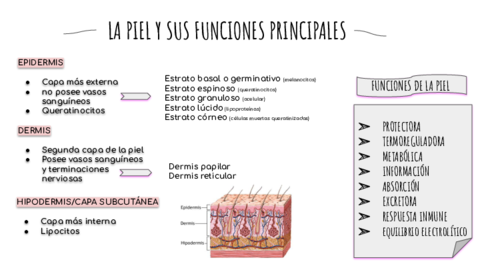 PIEL-PDF.pdf
