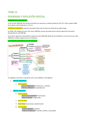 Apuntes botánica.pdf