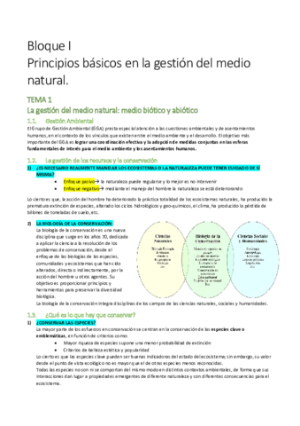 Gestión de Espacios y Recursos Naturales.pdf