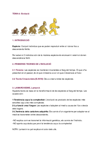 T6-Evolucio.pdf