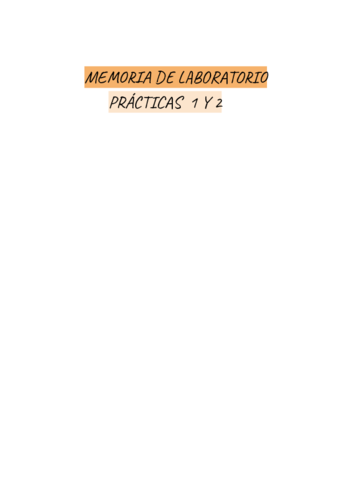 Memoria-lab.pdf