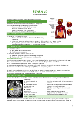 tema-10-sistema-endocri.pdf