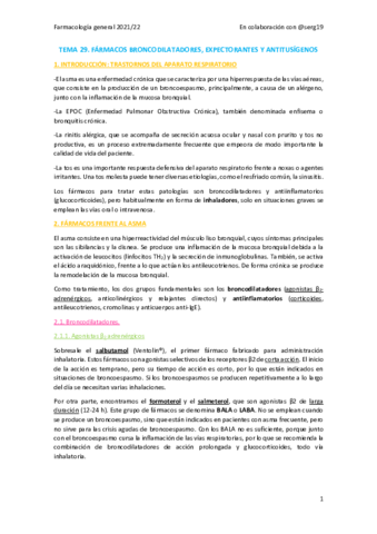 TEMA-29.pdf