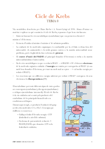T8-Cicle-de-Krebs.pdf