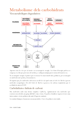 T10-carbohidrats.pdf