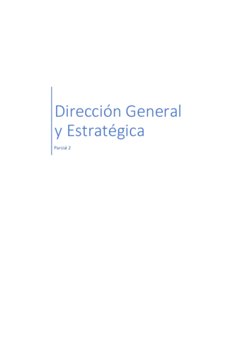 Direccion-General-y-Estrategica.pdf