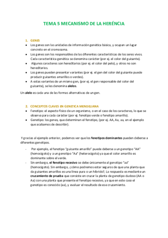 TEMA-5-MECANISMO-DE-LA-HERENCIA.pdf