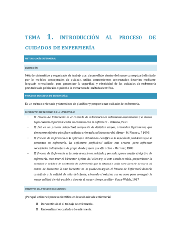 TODOS-los-Apuntes-Metodologia.pdf