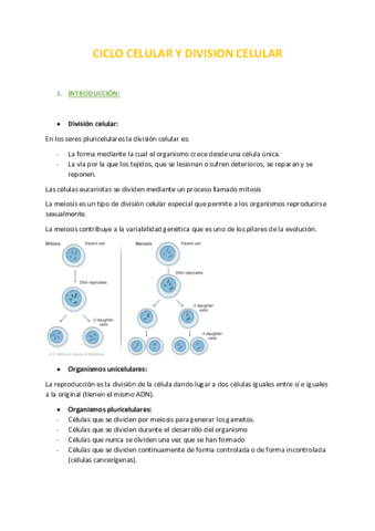 TEMA-4-CICLO-CELULA.pdf