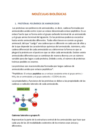 TEMA-1-MOLECULAS-BIOLOGICAS.pdf