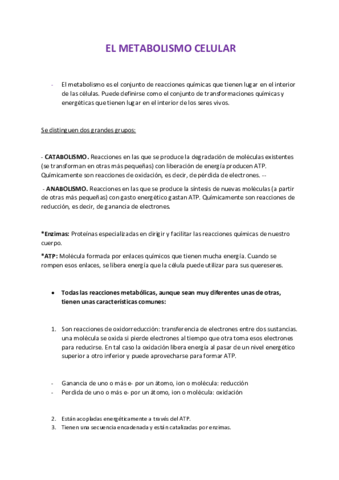 TEMA-3-EL-METABOLISMO.pdf