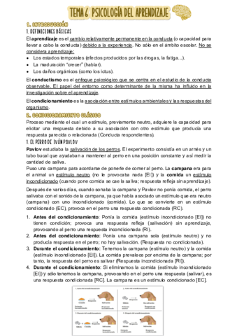 TEMA-6.pdf