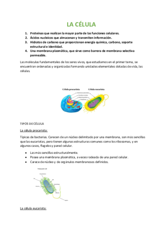 TEMA-2-LA-CELULA.pdf