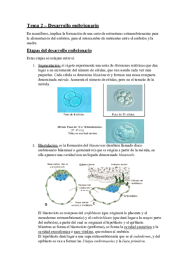 TEMA 2 (desarrollo embrionario).pdf