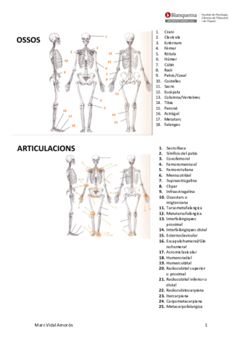 Apunts-1r-Parcial.pdf