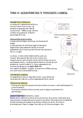 TEMA-14-OPTO-I.pdf