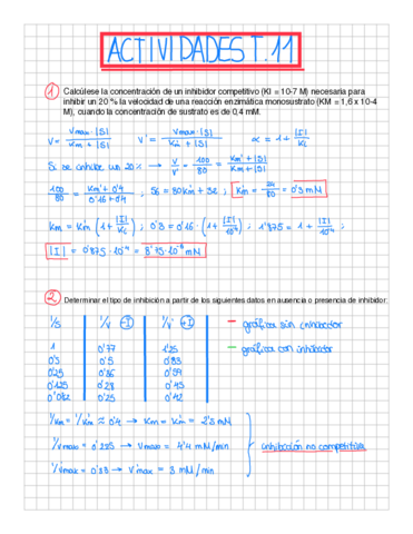 actividadest11biomol.pdf