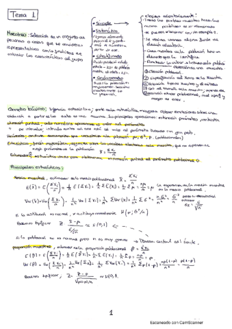 estadisticas-2-t1-y-t2.pdf