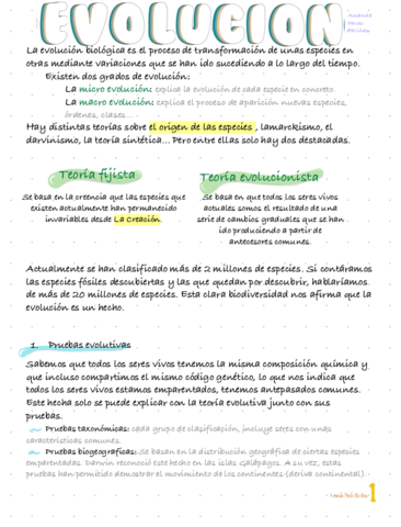 Evolucion-.pdf