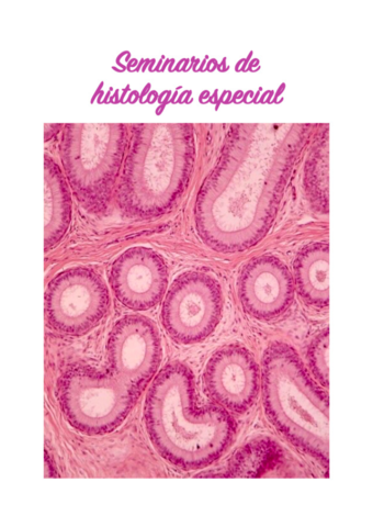 Seminarios-histologia-especial.pdf