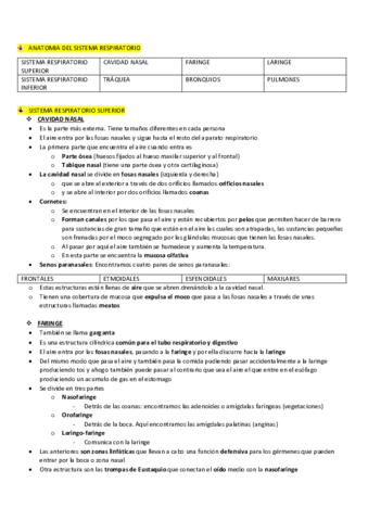 aparato-respiratorio.pdf