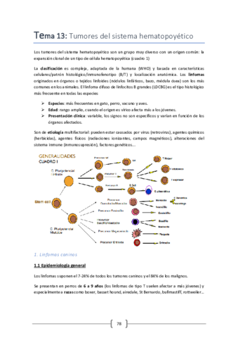 Tema-13.pdf