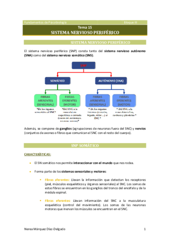 Tema-15-Sistema-nervioso-periferico.pdf