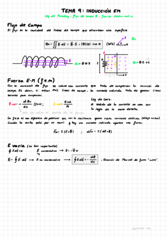 Tema-9-Induccion-EM.pdf