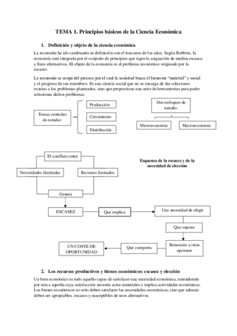 TEMA-1-.pdf