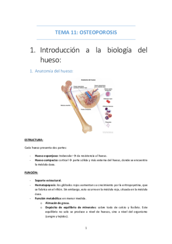 TEMA-11-OSTEOPOROSIS.pdf