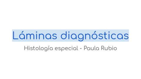 Laminas-diagnosticas.pdf