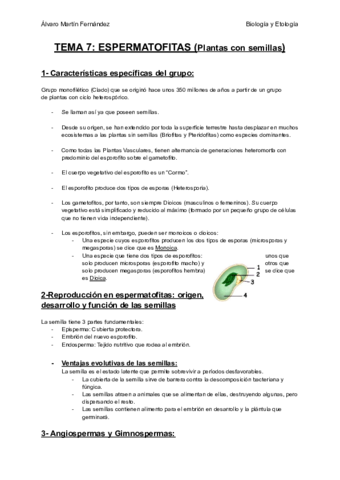 TEMA-7-ESPERMATOFITAS-Plantas-con-semillas.pdf
