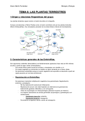 TEMA-6-LAS-PLANTAS-TERRESTRES.pdf