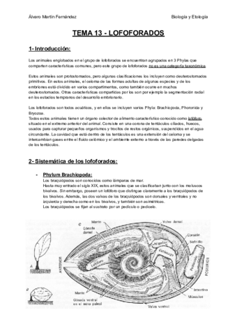 TEMA-13-LOFOFORADOS.pdf