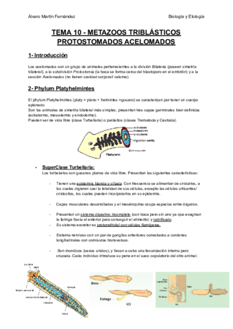 TEMA-10-ACELOMADOS.pdf
