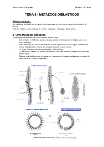 TEMA-9-METAZOOS-DIBLASTICOS.pdf