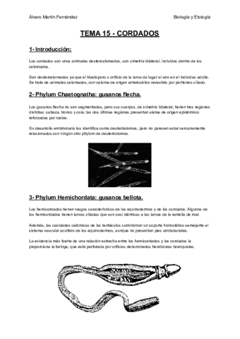 TEMA-15-CORDADOS.pdf