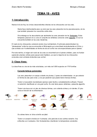 TEMA-19-AVES.pdf