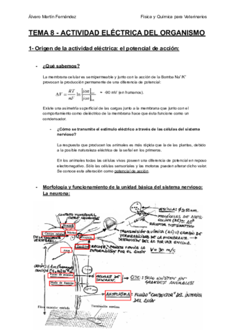 TEMA-8-ACTIVIDAD-ELECTRICA-DEL-ORGANISMO.pdf