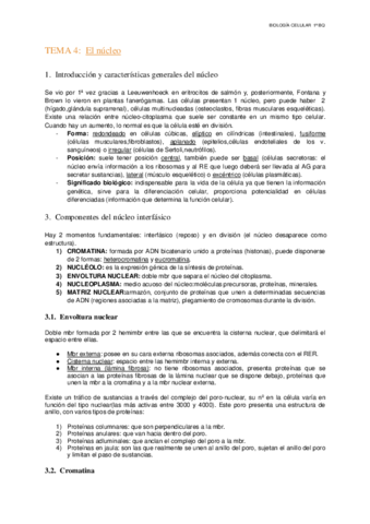 Tema-4-El-nucleo.pdf