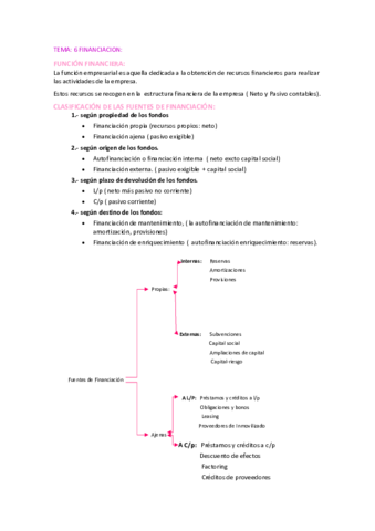 TEMA-6-FINANCIACION.pdf