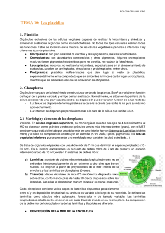 Tema-10-Los-plastidios.pdf