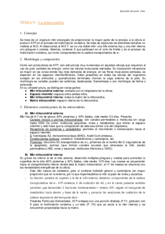 Tema-9-La-mitocondria.pdf