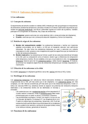 Tema-8-Endosomas-lisosomas-y-peroxisomas.pdf