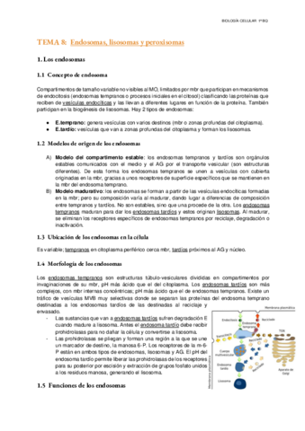 Tema-8-Endosomas-lisosomas-y-peroxisomas.pdf