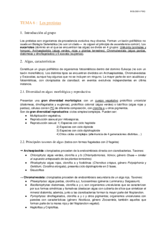Tema-6-Los-protistas.pdf