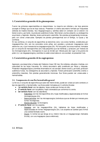 Tema-11-Las-principales-espermatofitas.pdf