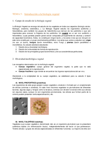 Tema-5-Introduccion-a-la-biologia-vegetal.pdf
