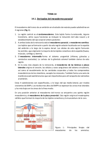 LECCION-TEMA-14Texto-y-preguntas.pdf